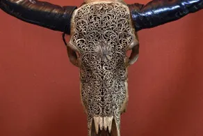 Casa Ranieri-Tenti - Image 3