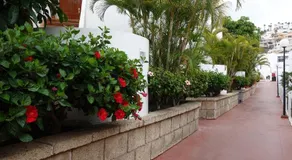 Ocean View Top floor Spacious One Bedroom WI-FI Pool - Image 4
