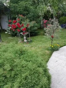 Holiday Home Sarafovo Dream - Image 4