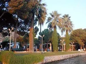 Shark Residence Omer - Image 3