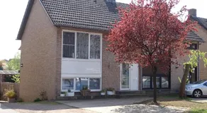 Pluijm - Image 5