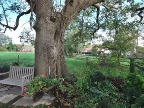 Oak Tree B&B - Image 5