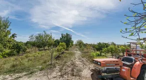 Humus Farm - Image 3