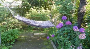 Guest House Elena - Image 3