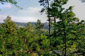 Village de Chalets Camping Bois Simonet - Image 4