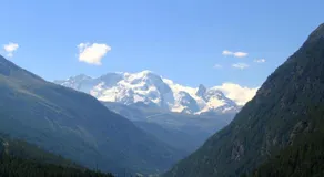 Haus Royal - Image 4