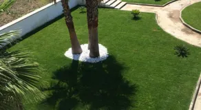 Santa Lucia - Image 3