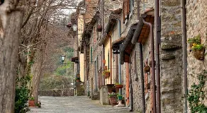 Il Nido Di Asia - Image 4