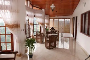 Annie's Tropical Paradise - Image 2