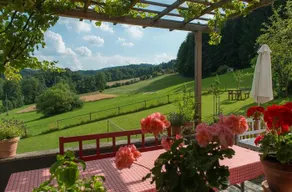 Seelennest Falkensteiner - Image 1