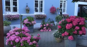 Fano Det Bla Guesthouse - Image 2