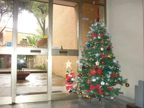 Eur Nir Residence - Image 4