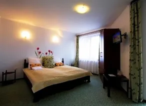 Pensiunea Casa Cu Flori - Image 4