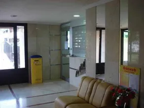 Los Cactus - Image 5