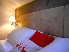 DESIGN APARTMENT KITZBüHEL - Image 5
