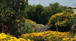 Penguin Beach House - Image 4