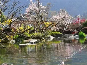 Fanjing Cloud Villa Hotel - Image 4