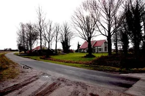 Tussen de Berken - Image 3