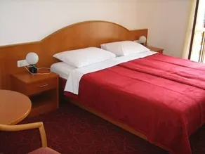 Villa Pincevic - Image 3