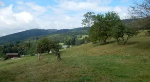 Holiday Home Vagney near Ski Gérardmer - Image 4