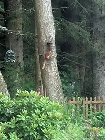 Lewis Lodge - Image 5