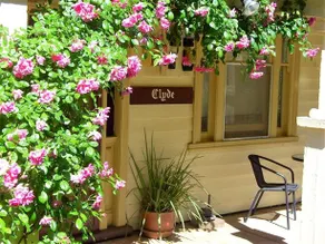 Clyde Cottage - Image 2