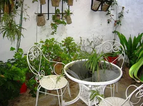Casa del Municipal - Image 2