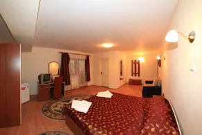 Vila Transilvania - Image 5
