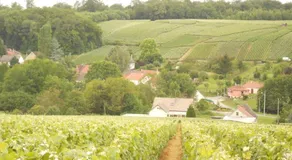 L'APPART - Image 5