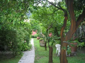 Albergo Lungomare - Image 4