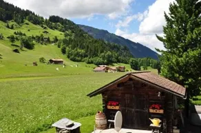 Trachsel-Huus - Image 4