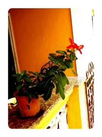 Casa Serendip Homestay - Image 5