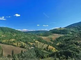 Basaletto e Le Selve - Image 5