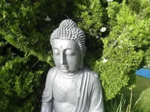 Zenapitud - Image 1