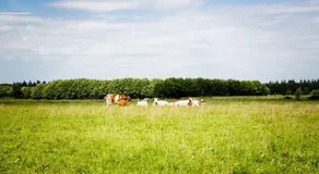 Domein Groot Besselink - Image 2