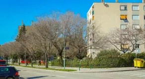 Apartment Mix - Image 5