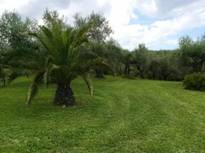 Villa L'Anfora - Image 5