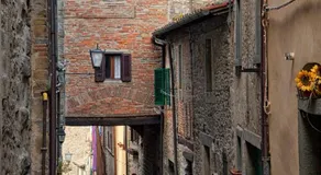 Il Nido Di Asia - Image 3