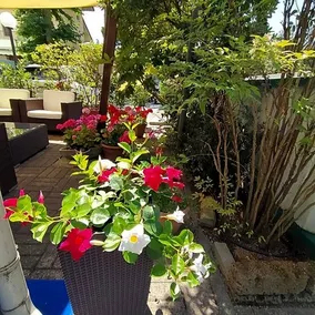 Hotel Capri - Image 2