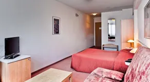 Phoenix - Image 4
