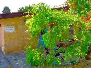 Dudin Mansion - Image 2