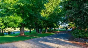 Dorrigo Mountain Holiday Park - Image 4