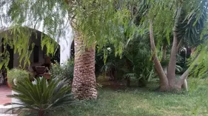 Villa Artemisia Alcamo - Image 5