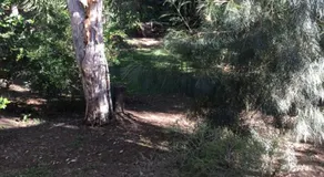 Beerwah Retreat - Image 2