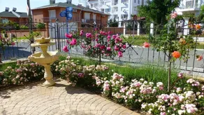 Apartments in Elitonia 5 - Image 5