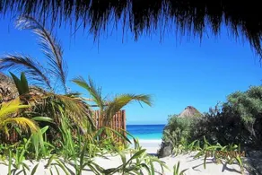 Retiro Maya Tulum - Image 4