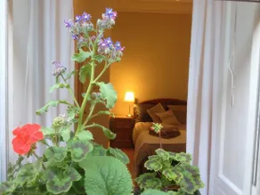 Edinburgh City Flat - Image 5