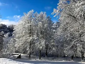 GIULIO Mountain B&B - Image 5