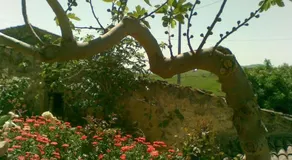 Antico Borgo - Image 4