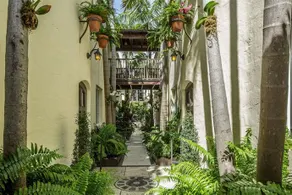 Orchid House - Image 2